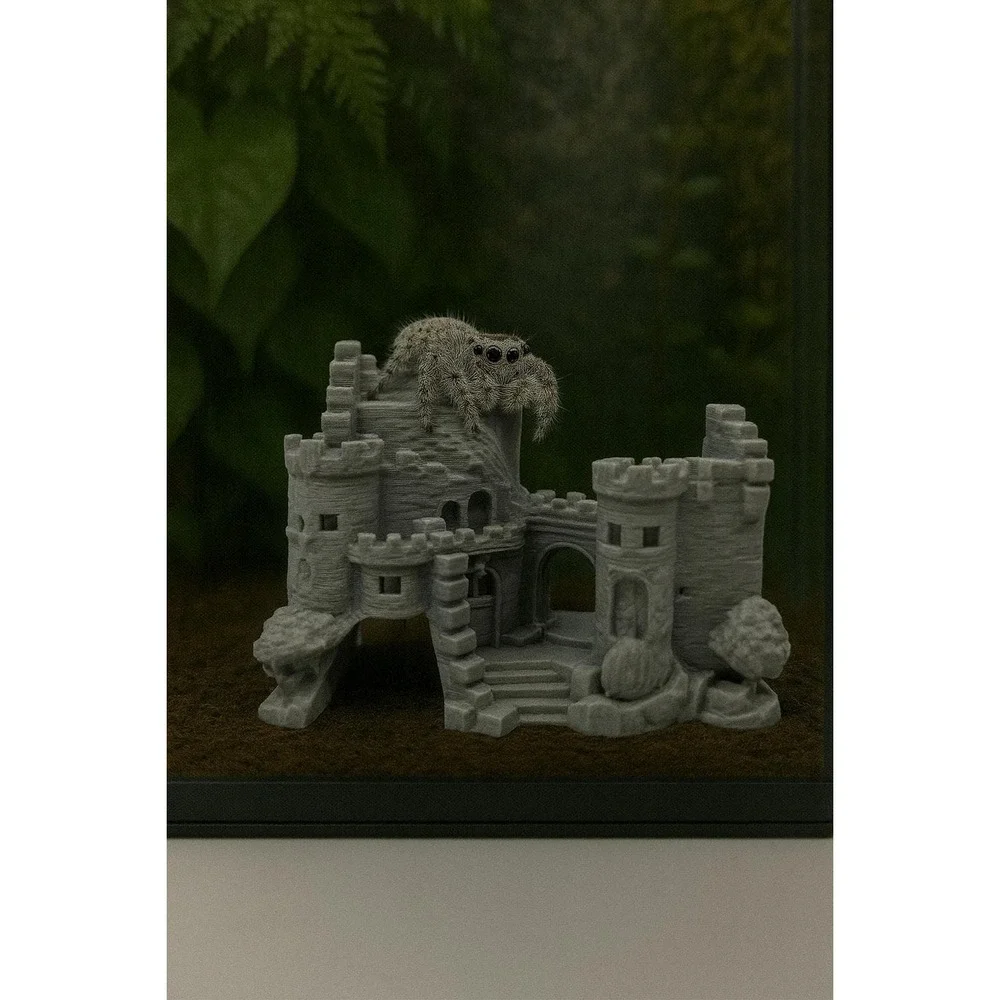 The‎ Fallen Fortress Hide and Climb Reptile Decor